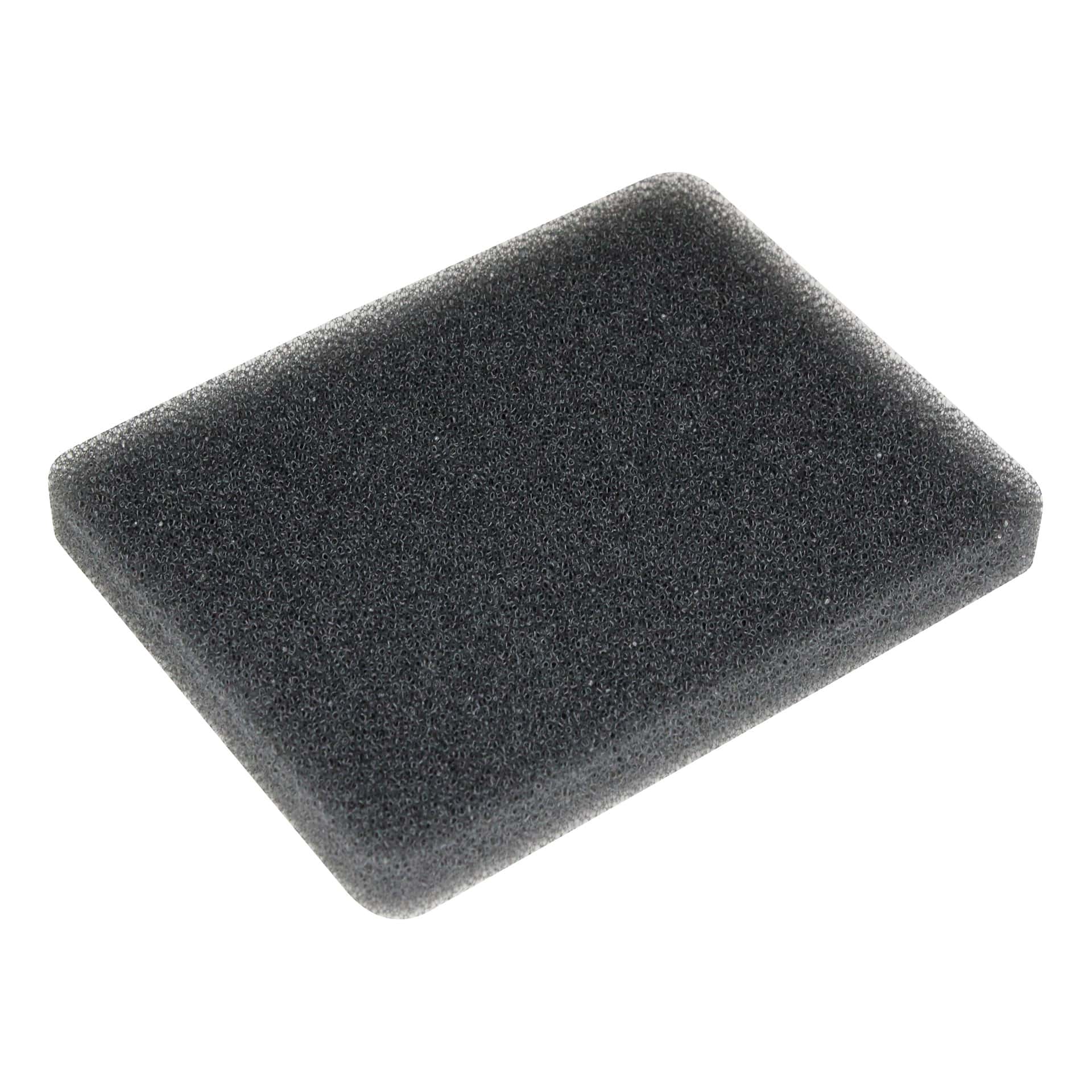 Rhythm 5L Stationary Intake Filter (OEM# LM5BA-ITF) - 10/Pack